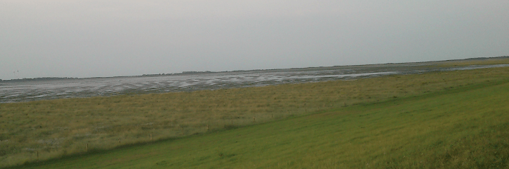 Salt marsh on Borkum